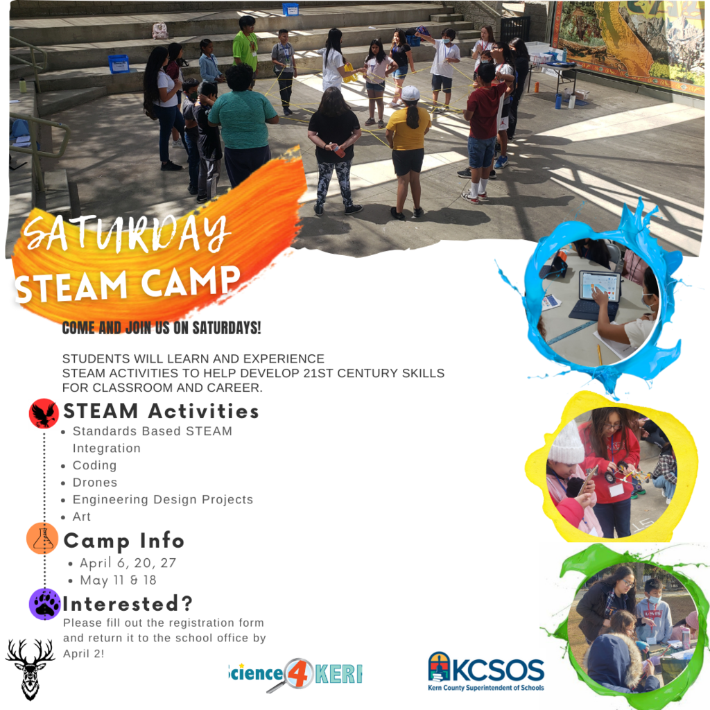 Saturday STEAM camps