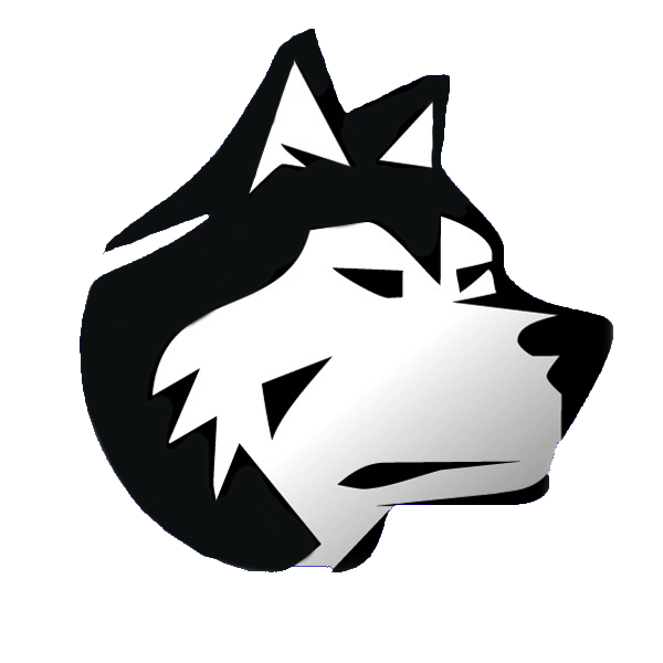 Husky dog head