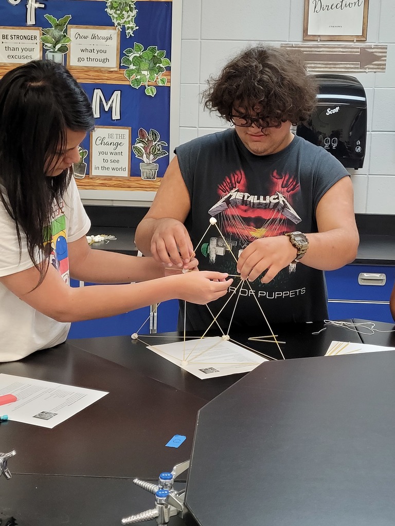 marshmallow challenge2
