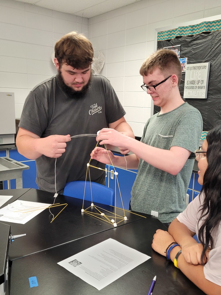 marshmallow challenge3