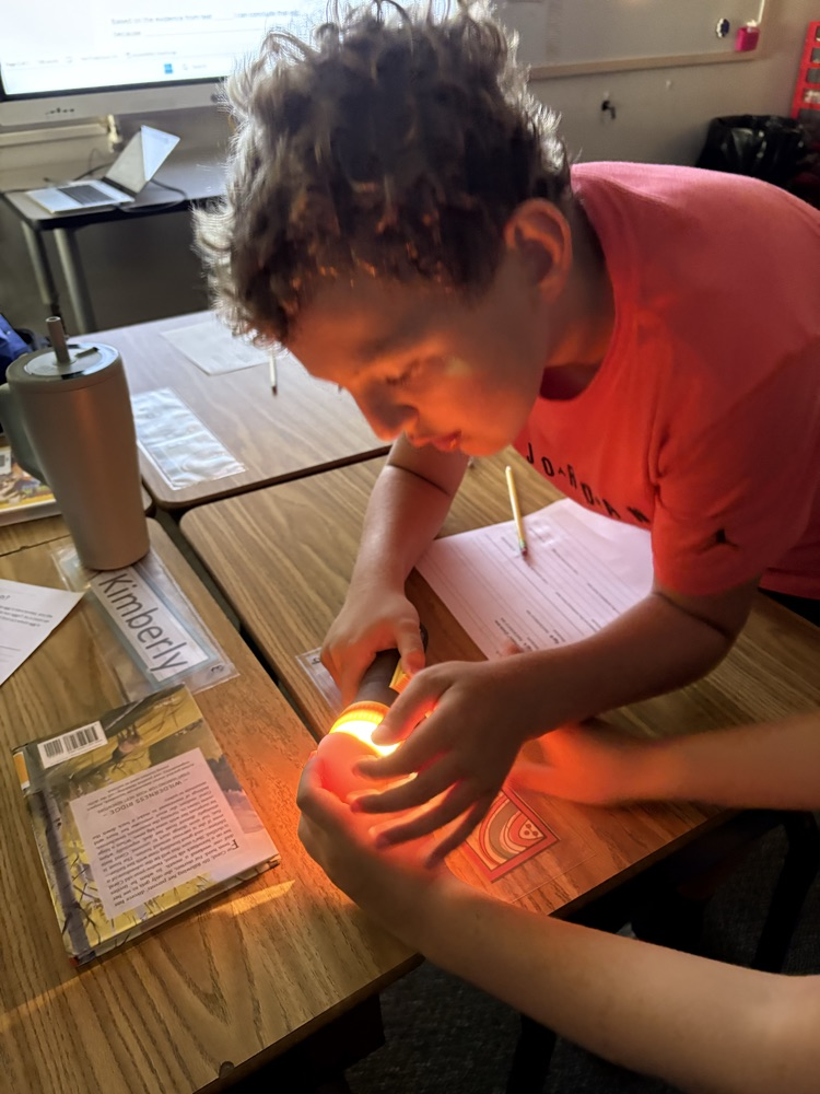 #science #eggtest