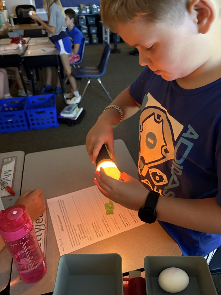 #science #eggtest