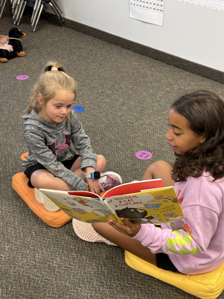 reading