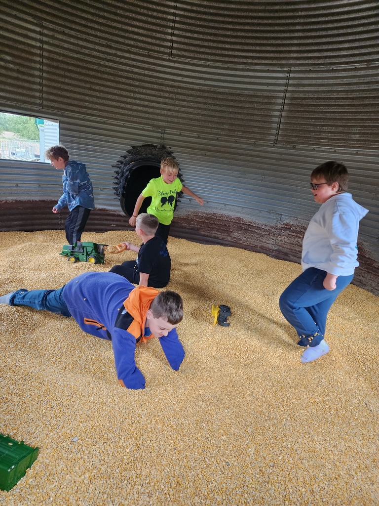 Corn Pit