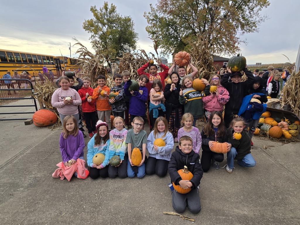 Mrs. Wolforth's 3rd Grade Class