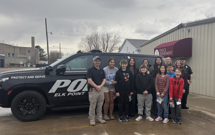 SLC communication cards 