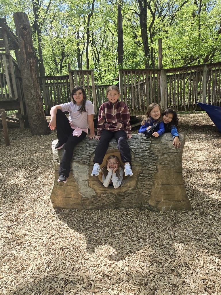 This tree trunk was a popular spot for students to ask for a picture.