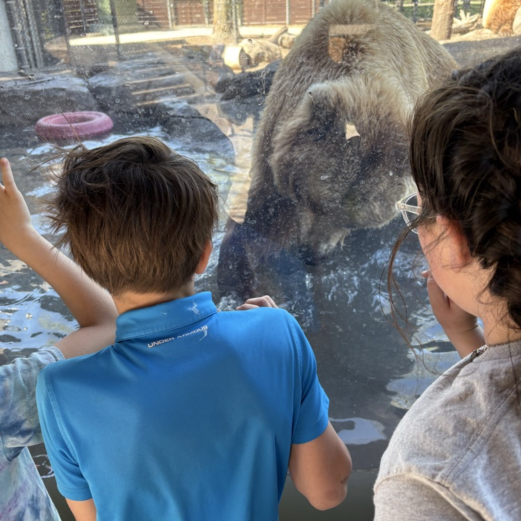 zoo