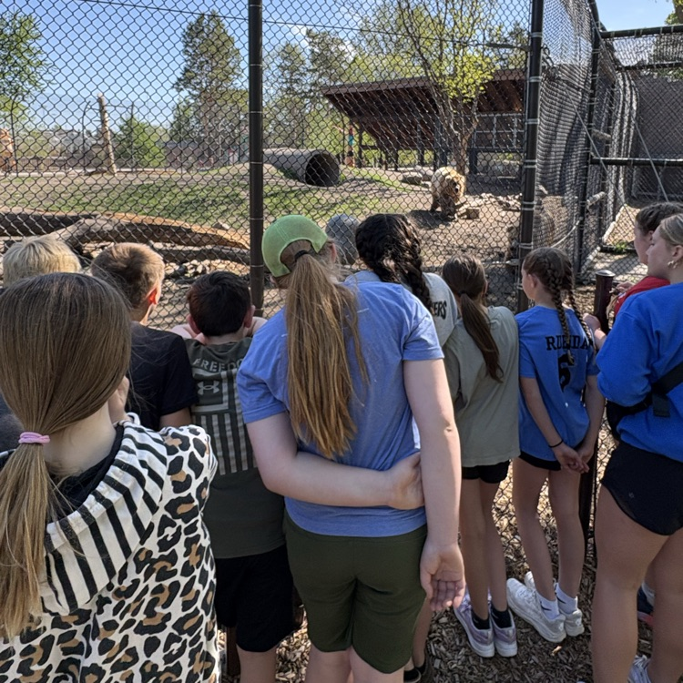 zoo