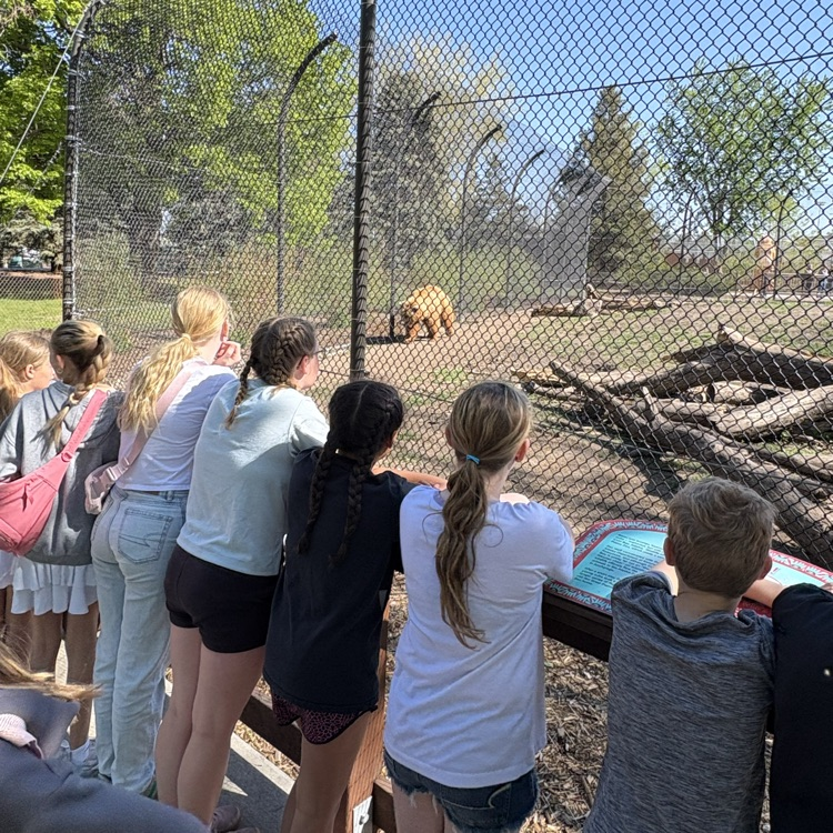 zoo