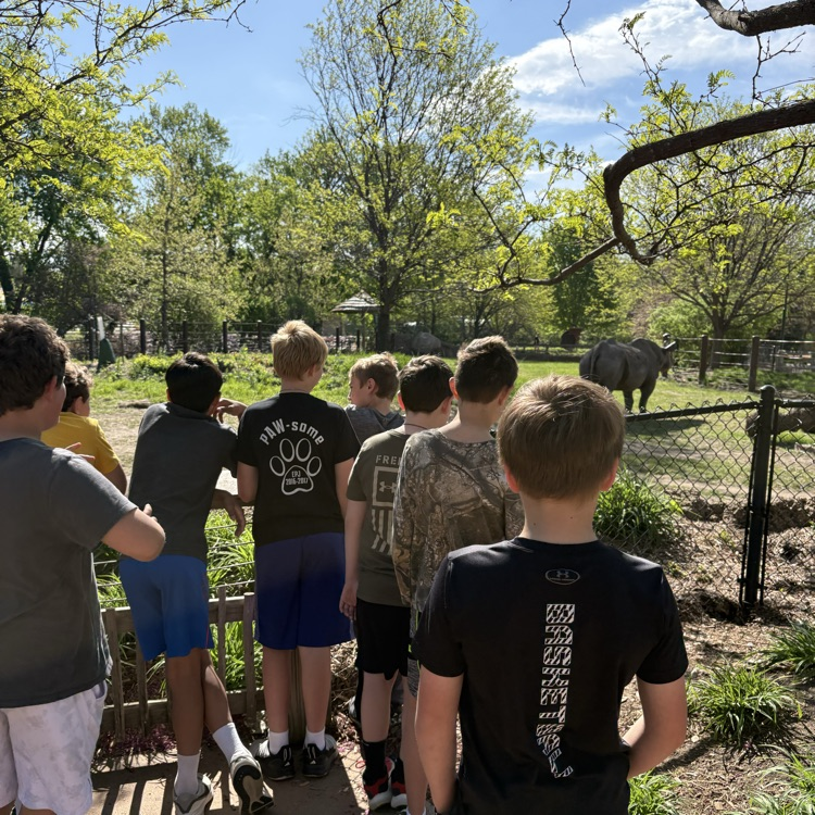 zoo