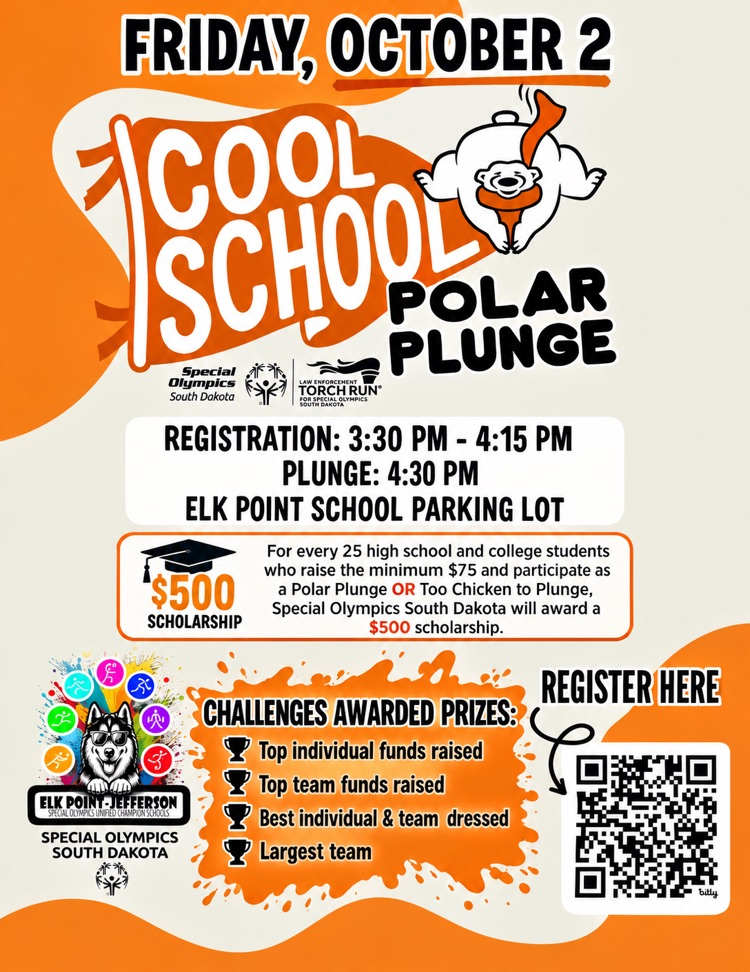 polar plunge