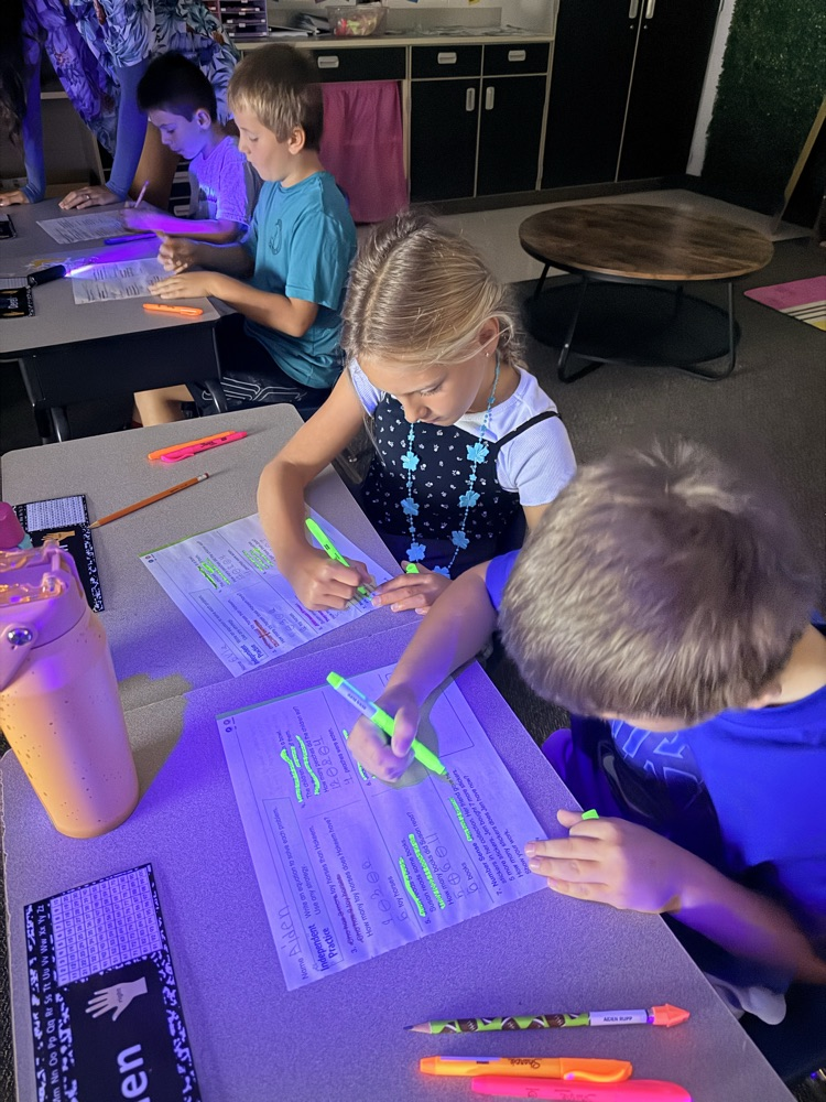 Story problem detectives