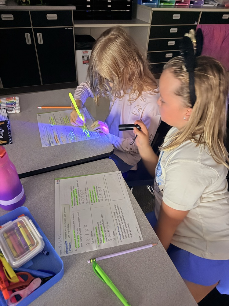 Story problem detectives