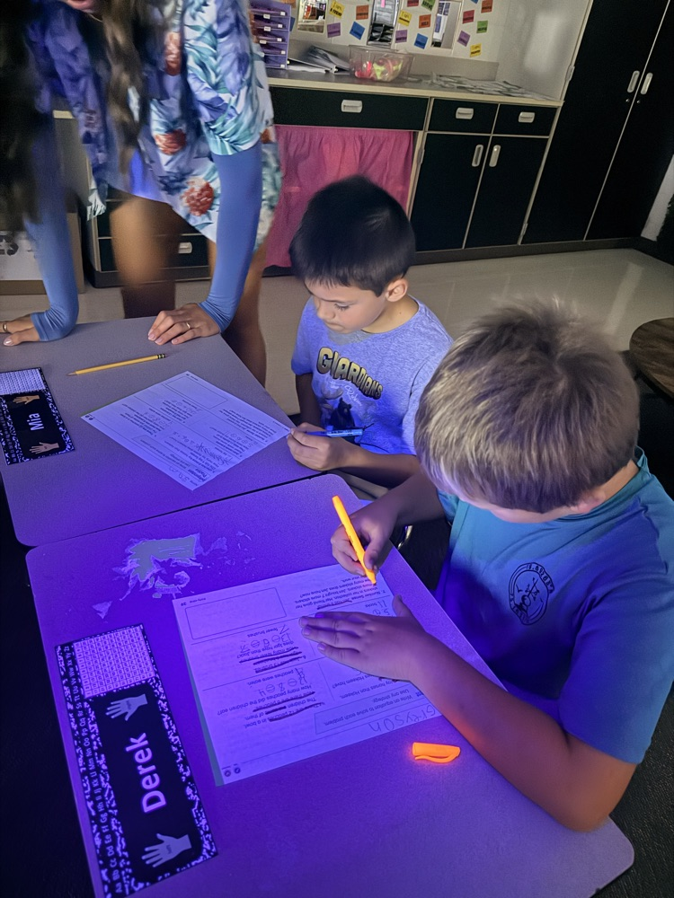 Story problem detectives