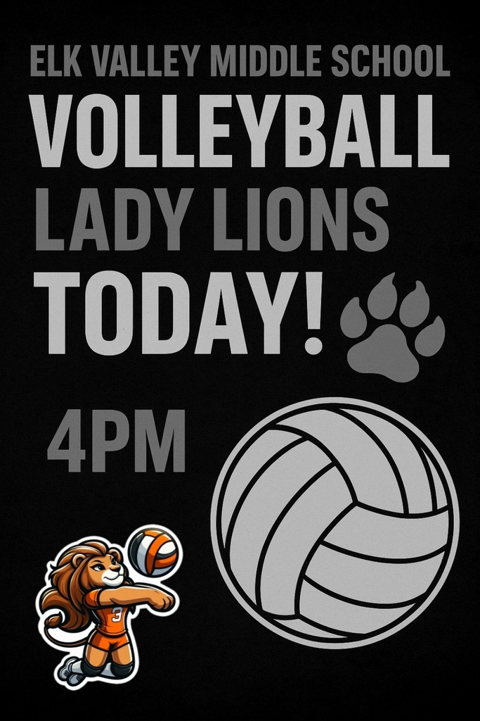 VBall