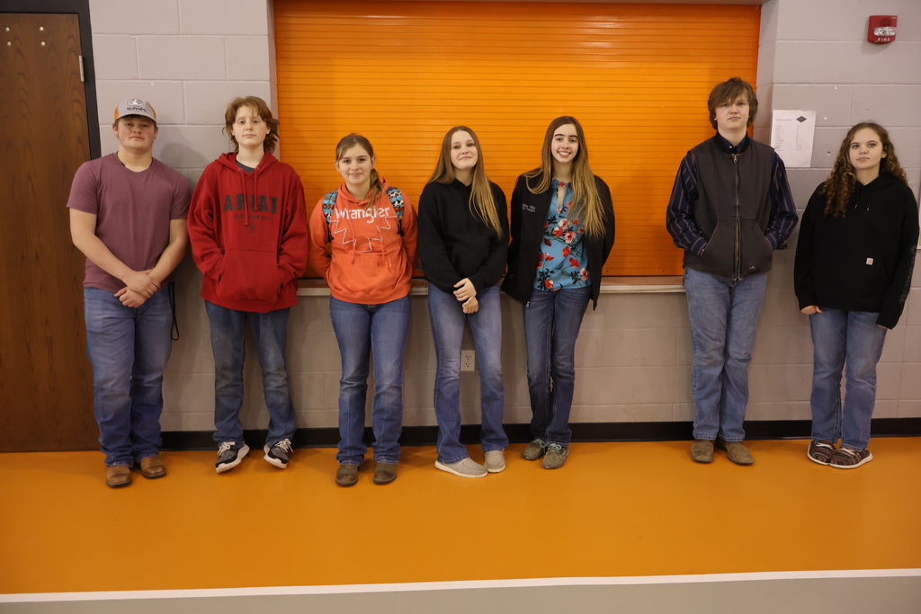 Middle / High School