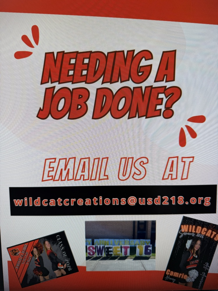 Wildcat creations