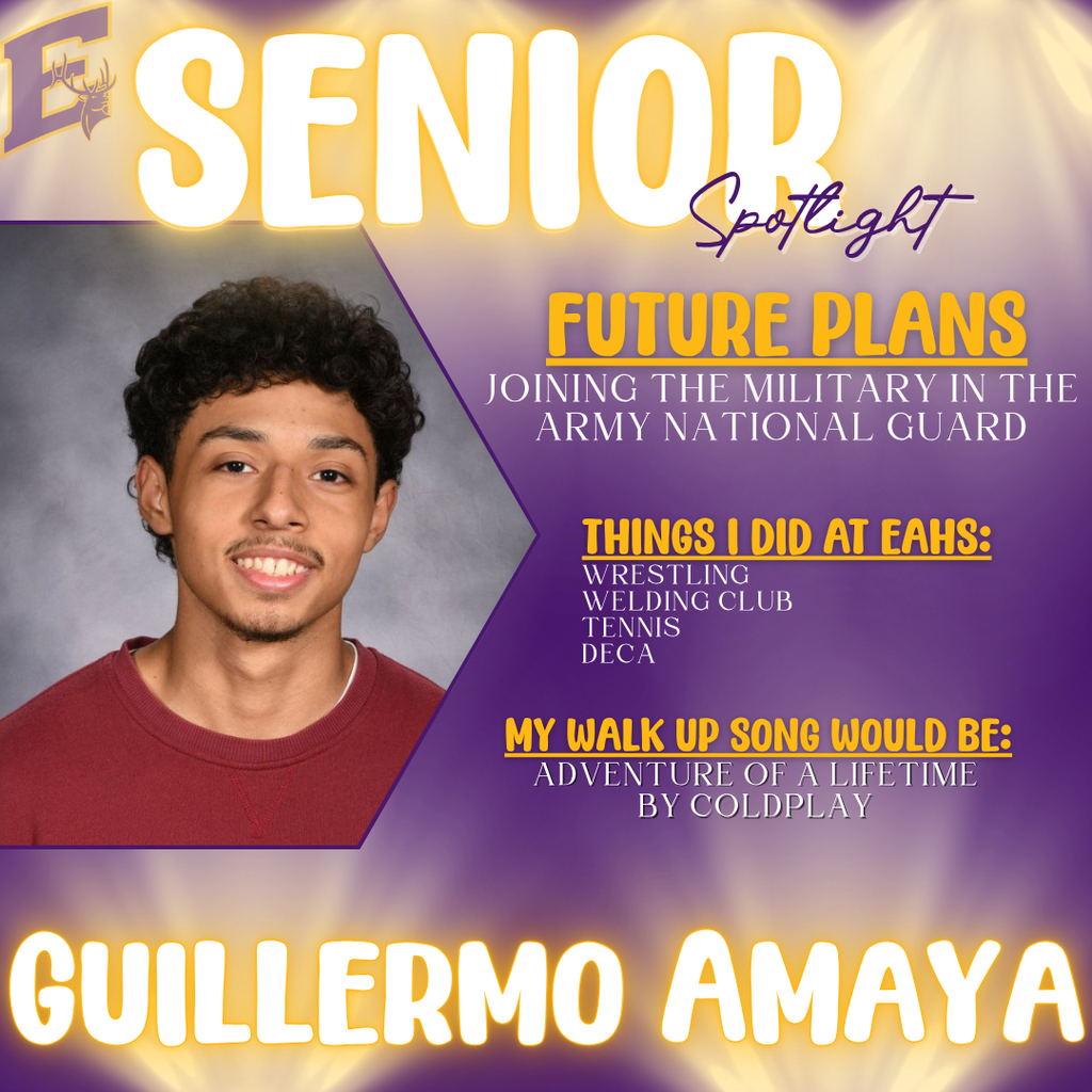 Guillermo - Senior spotlight