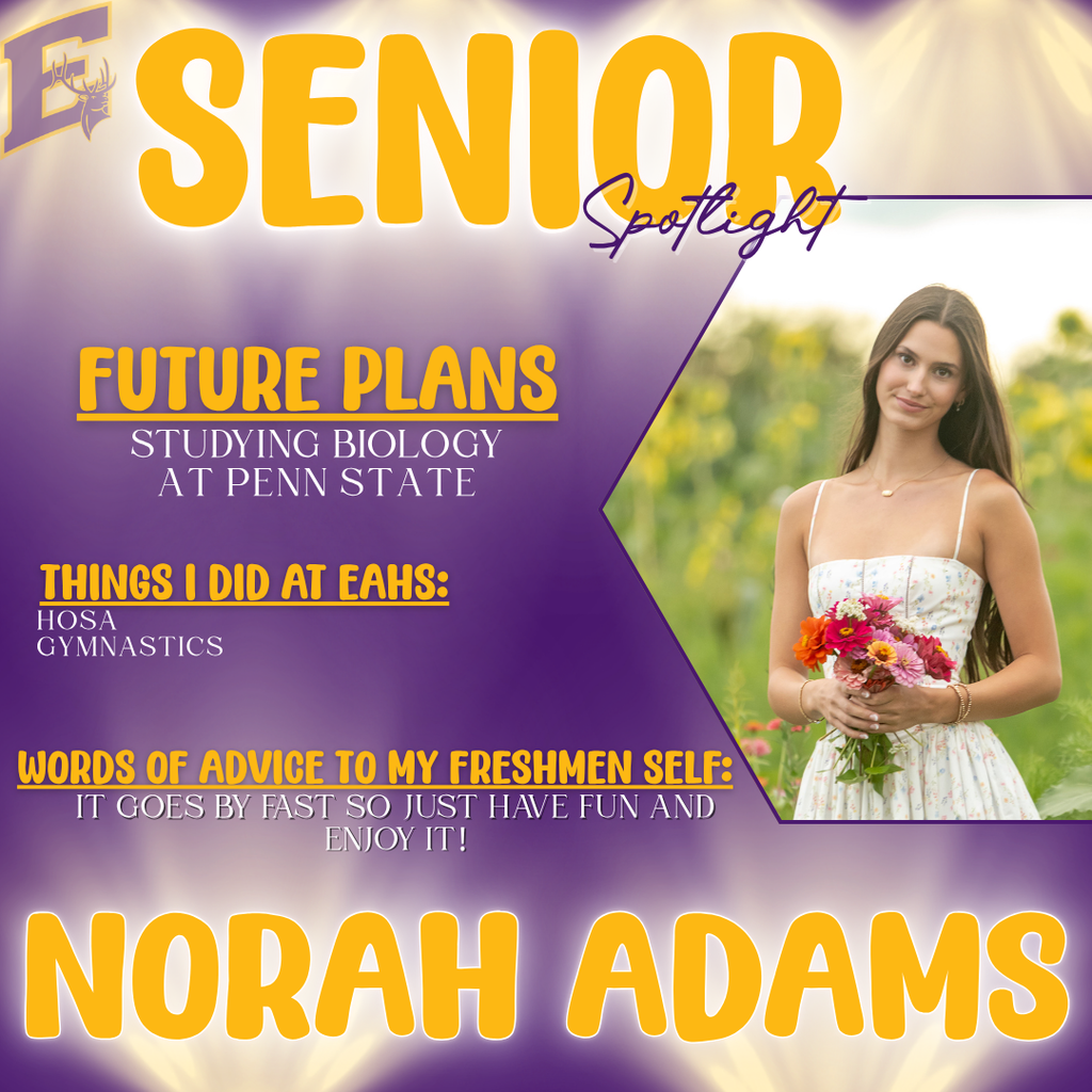 Norah - senior spotlight