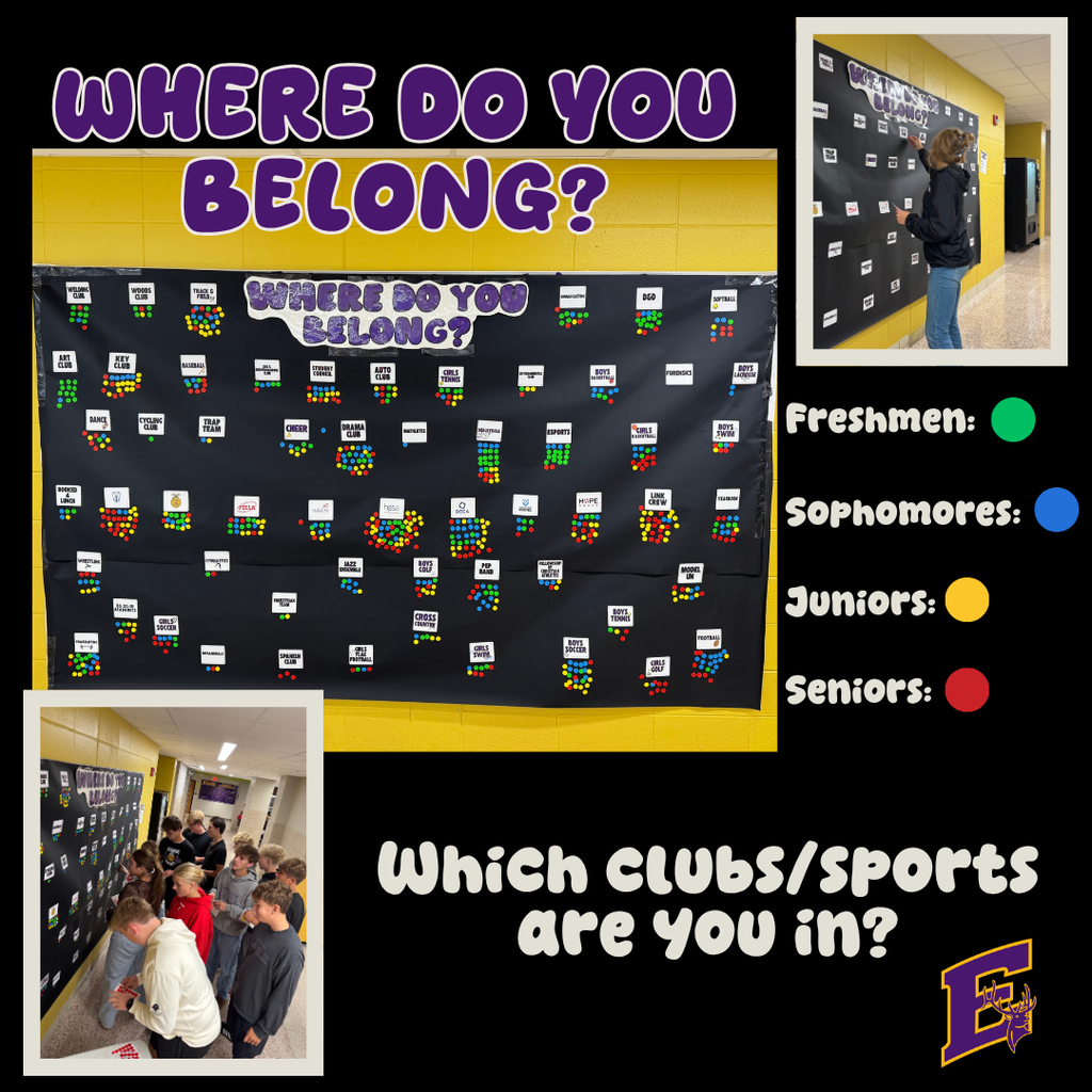 Where do you belong
