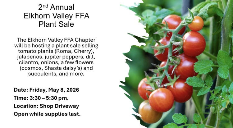 Plant Sale