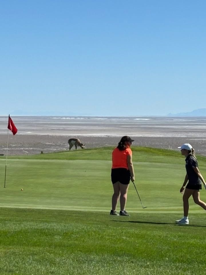 Wells girl golfer