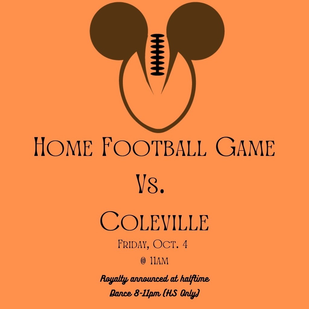 Home game for Wells High School