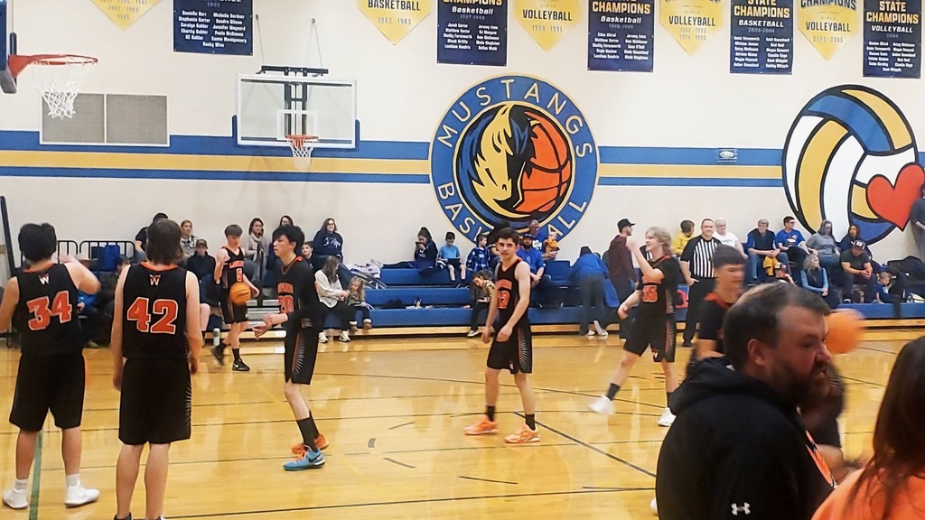 Wells Leopards JV boys basketball players 