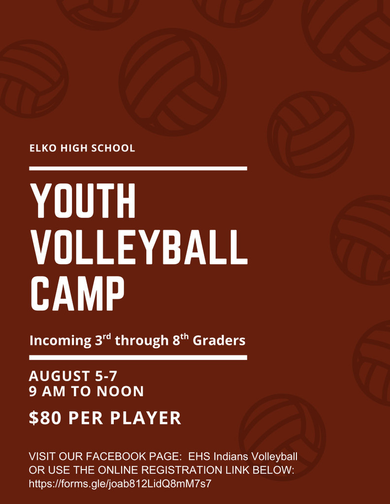 Volleyball Camp