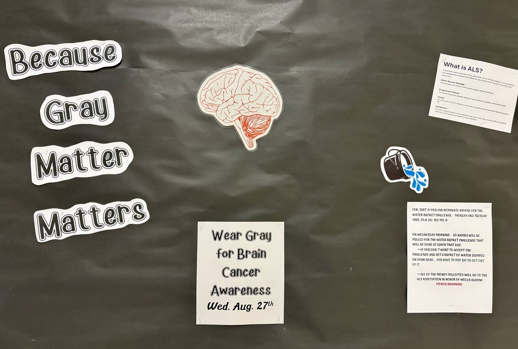 gray for brain cancer awarness