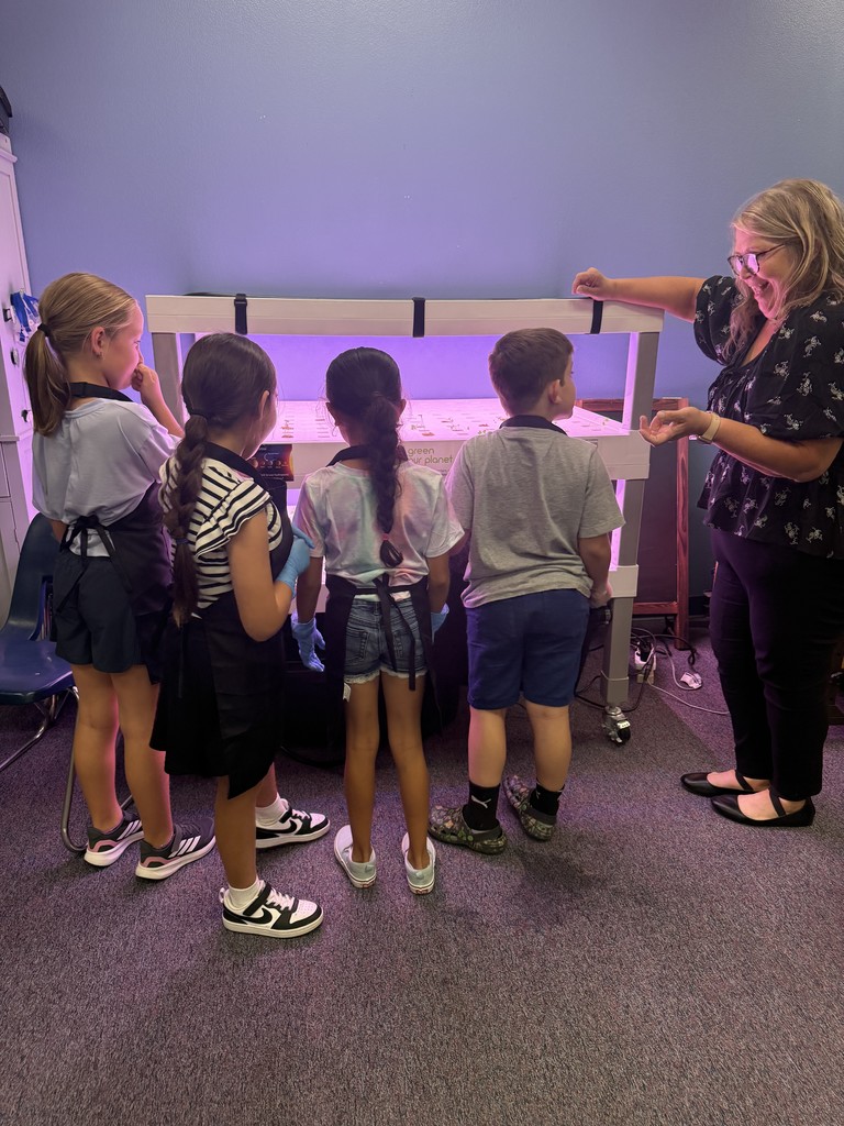 Sprout Scouts in action!