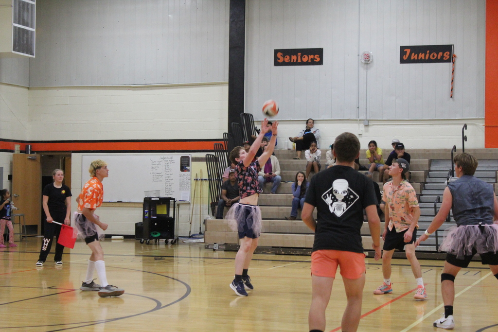He- man volleyball game