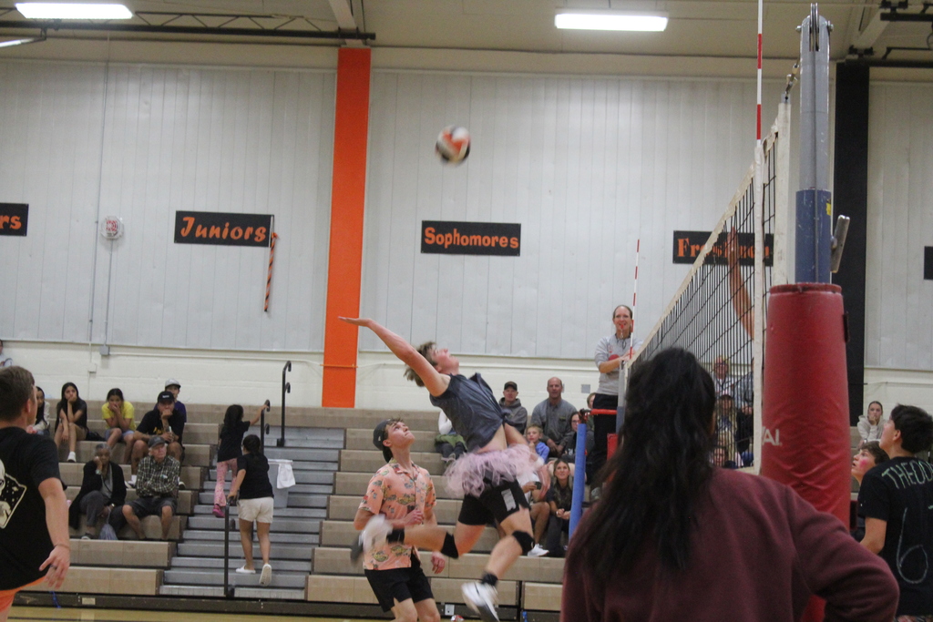 He- man volleyball game