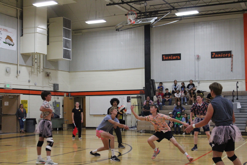 He- man volleyball game
