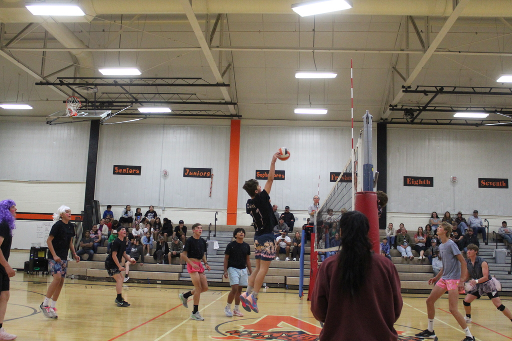 He- man volleyball game