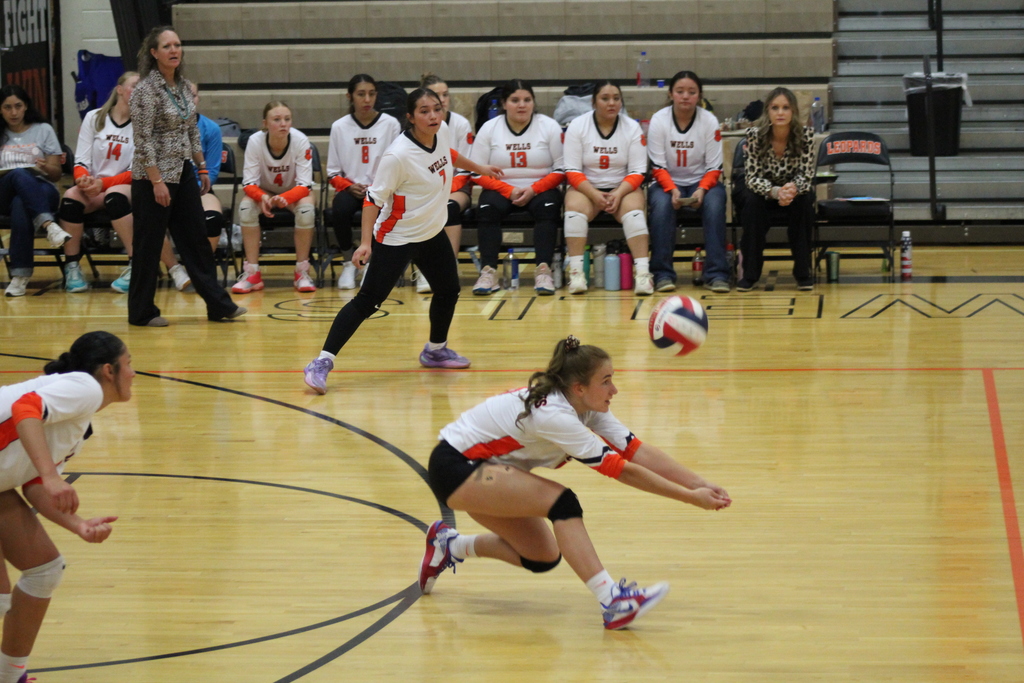 Wells volleyball team vs McDermitt Bulldogs