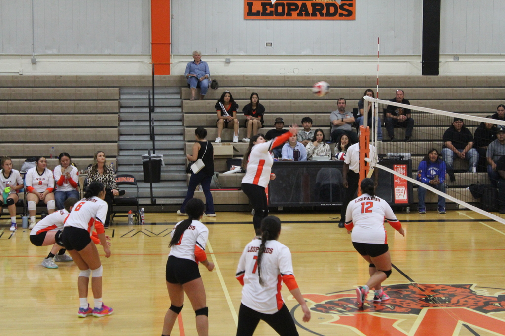 Wells volleyball team vs McDermitt Bulldogs