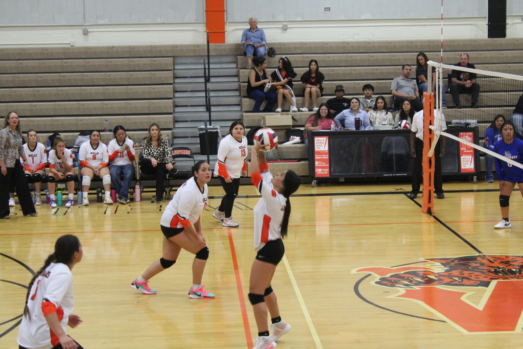 Wells volleyball team vs McDermitt Bulldogs