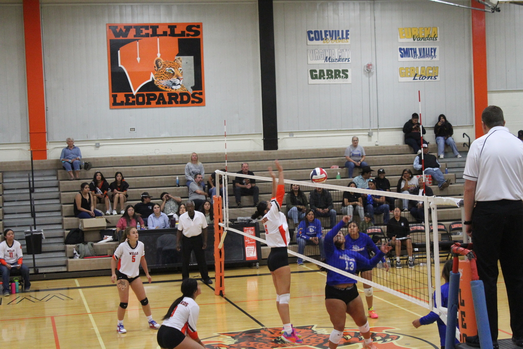 Wells volleyball team vs McDermitt Bulldogs
