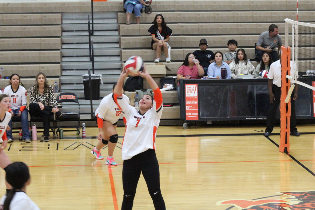 Wells volleyball team vs McDermitt Bulldogs