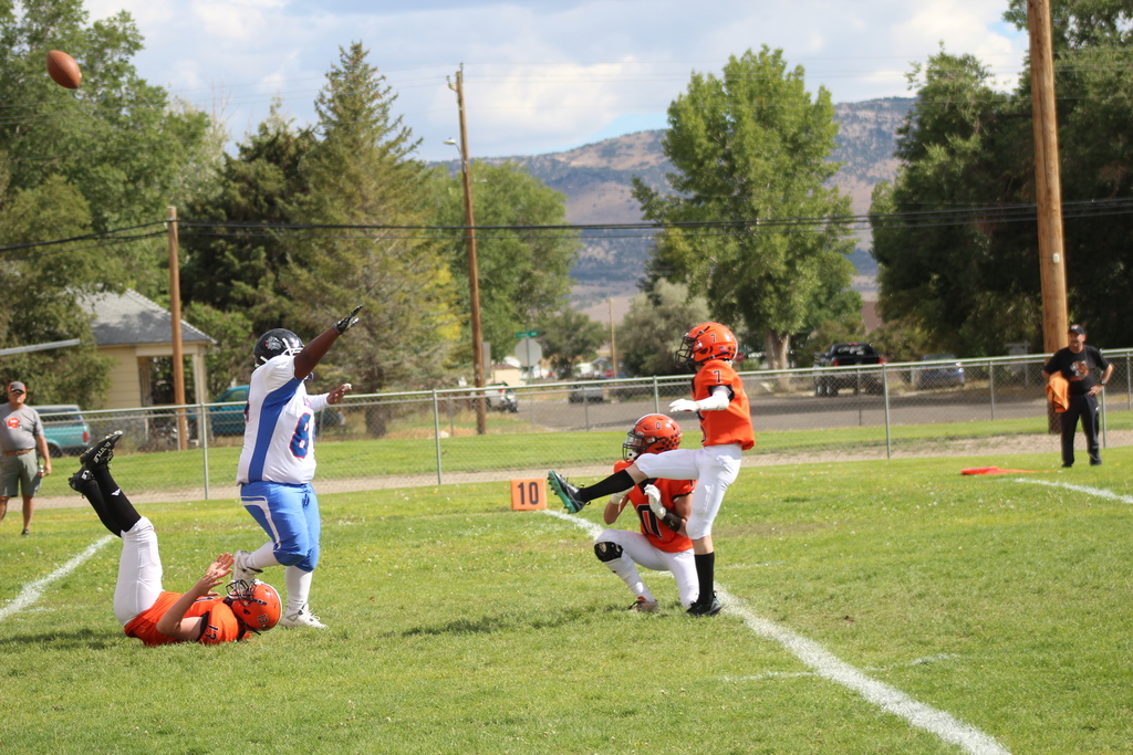 Wells High School football team