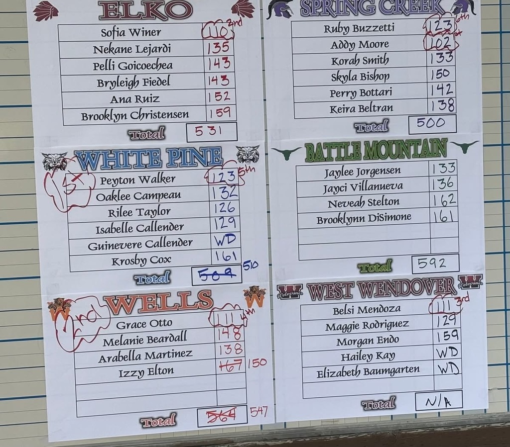 Wells High School girls golf team
