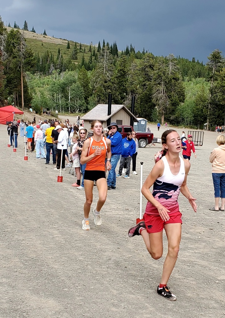 Wells High School cross country runners competing at Magic Mountain