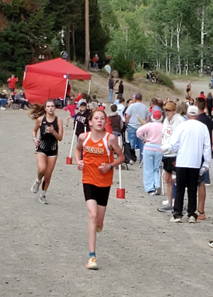 Wells High School cross country runners competing at Magic Mountain