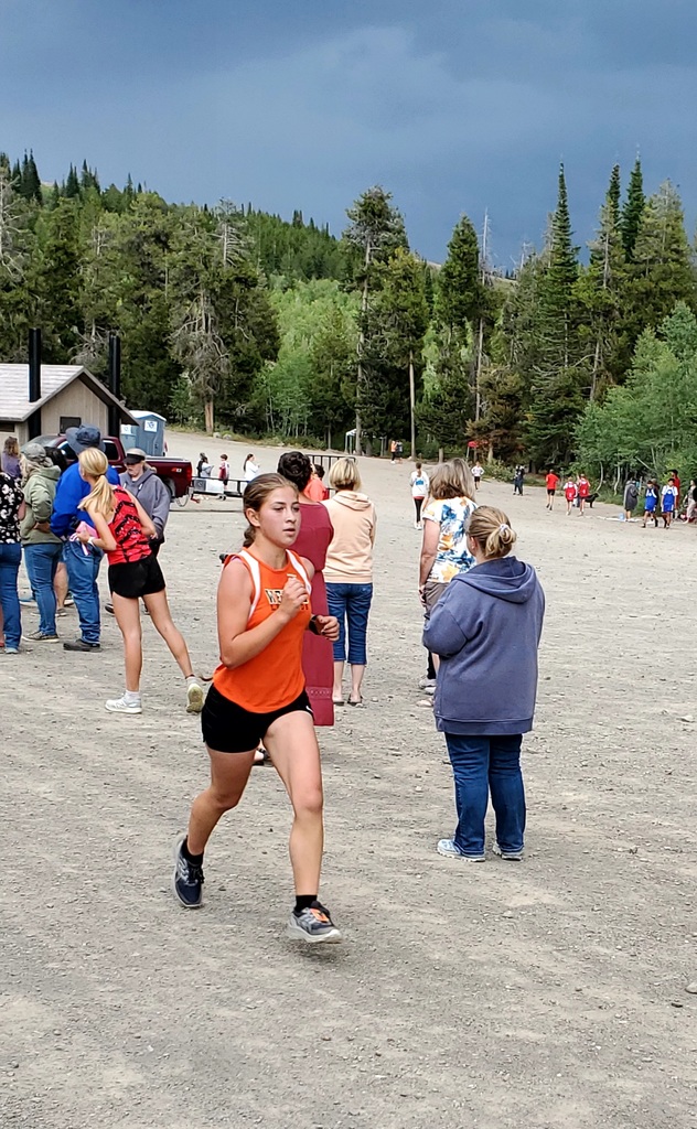 Wells High School cross country runners competing at Magic Mountain