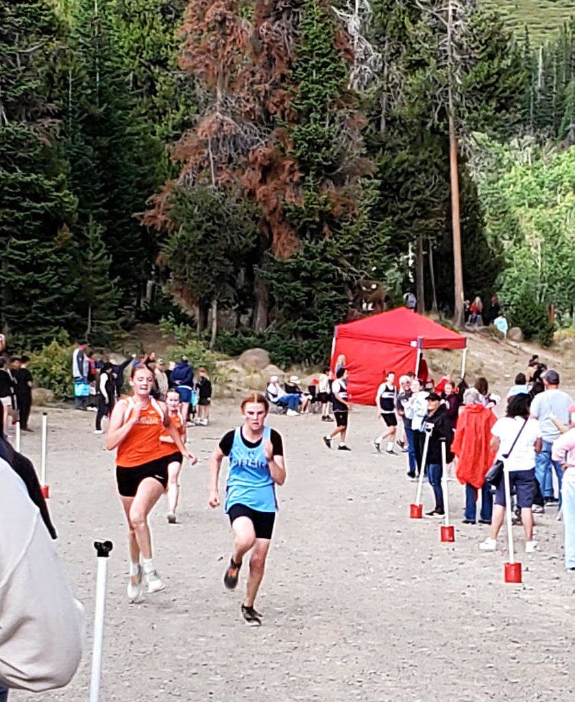 Wells High School cross country runners competing at Magic Mountain