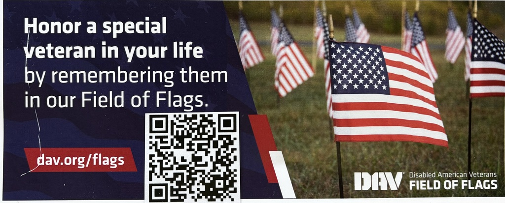 Field of Flags