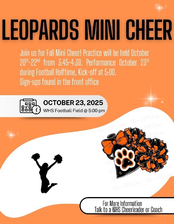 Mini cheer flyer