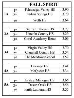 NIAA fall spirit academic team winners